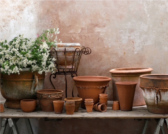 Garden Shop Tenterfield