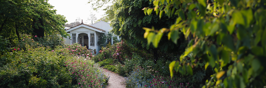 White Cottage Flower Farm and Antiques in Tenterfield